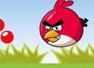 Game Angry Bird Nhặt Bóng